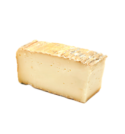 Taleggio